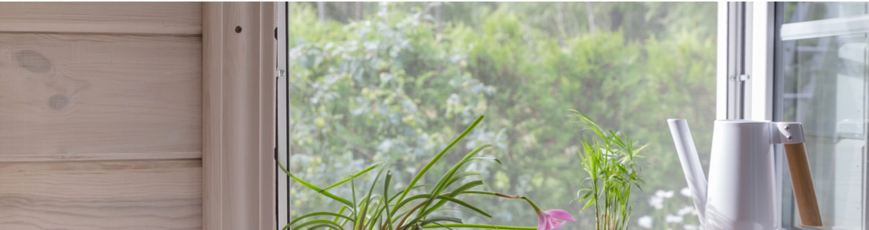 image d'une fenêtre ouverte dotée d'une moustiquaire avec devant des plantes et un arrosoir