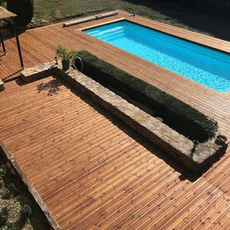 #PIN SYLVESTRE 70x195 (GO4) Cl.IV  6ml Vert C24