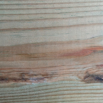 #PIN SYLVESTRE 70x220 (GO4) Cl.IV  6ml Vert C24