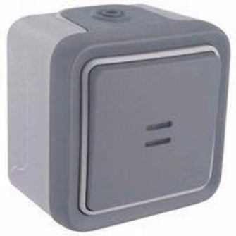 PLEXO VA ET VIENT VOYANT EN SAILLIE GRIS