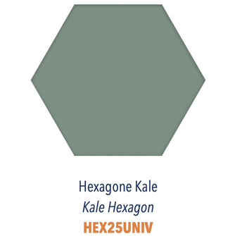 CARRELAGE HEXAGONE UNI VERT 25X22CM (CARTON DE 1,04M²)    Ref:HEX25UNIV