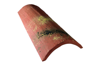 #TUILE CANAL MIDI PATINEE - TE001 NUANCE DU SUD